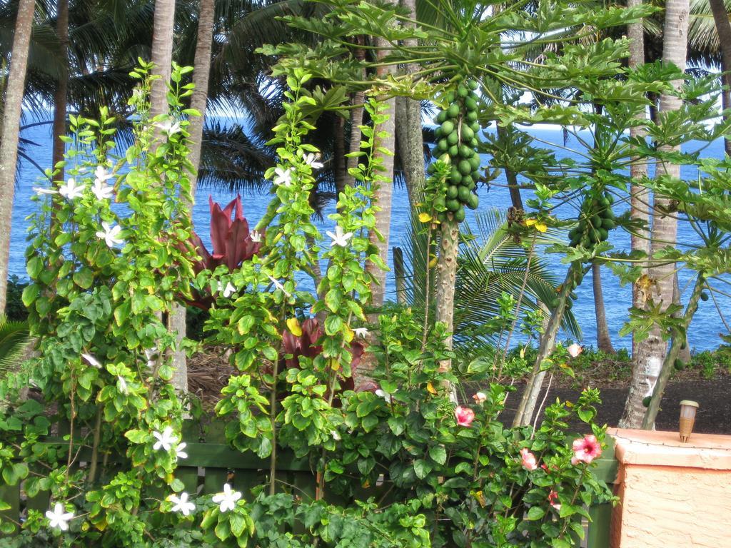 Oceanfront Cottage Near The Kalapana Lava Flows Kehena Pokój zdjęcie