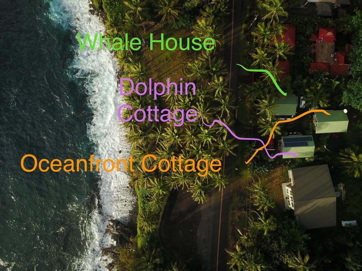 Oceanfront Cottage Near The Kalapana Lava Flows Kehena Zewnętrze zdjęcie