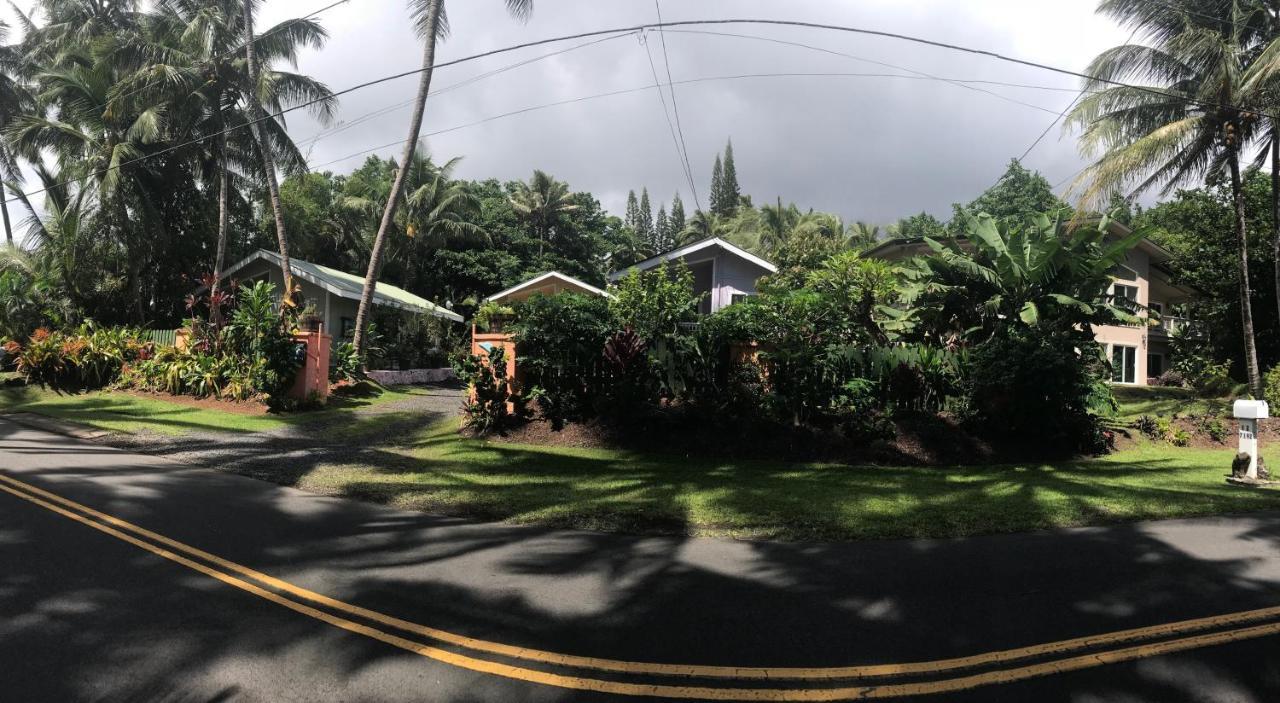 Oceanfront Cottage Near The Kalapana Lava Flows Kehena Zewnętrze zdjęcie